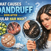 Causes of dandruff after wash