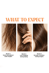 HAIRFALL RESCUE - CONDITIONER - Kiwai