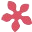 Kiwai Beauty Pakistan logo